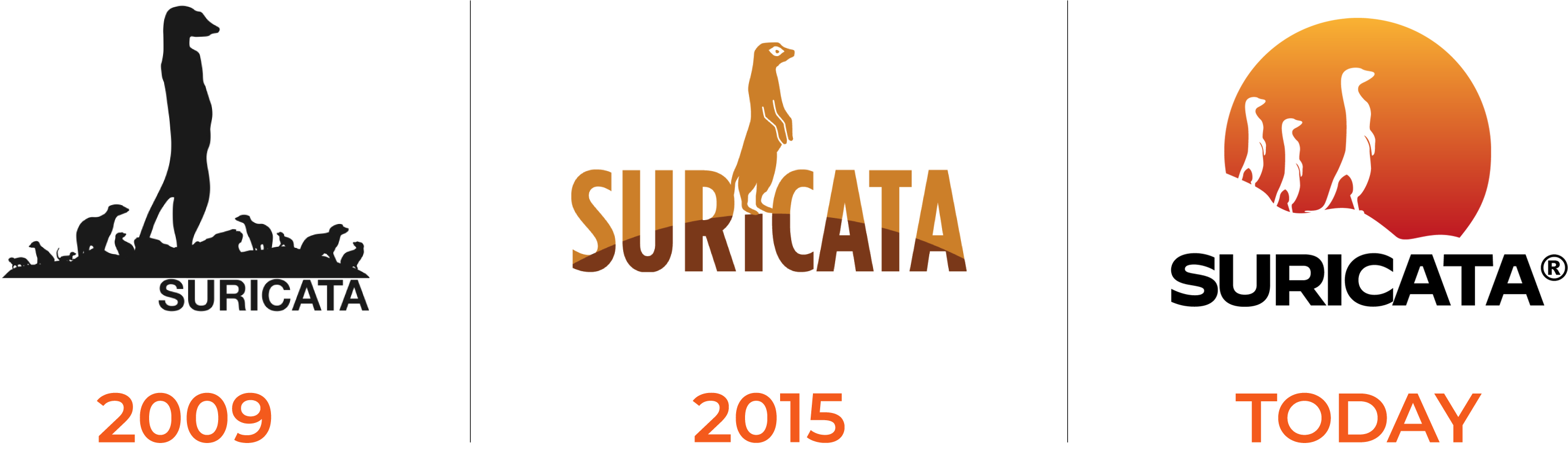 Suricata